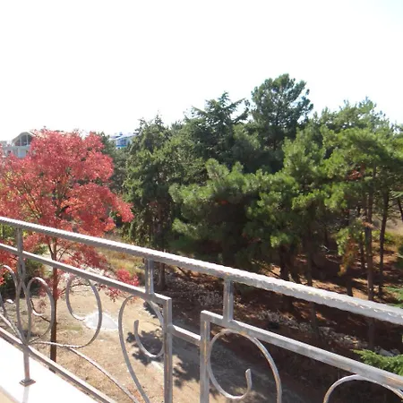 Pomorie Residence Apartments 포마리